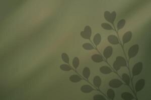 Heart-shaped leaf shadow on soft green background vector