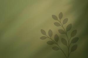 Leafy branch shadow on green background in soft light vector