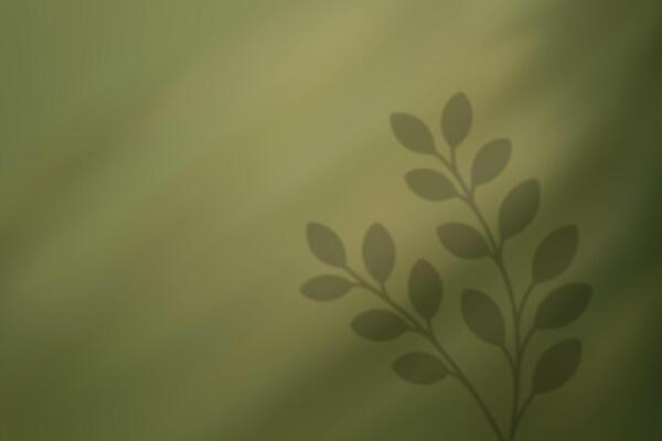 Leafy branch shadow on green background in soft light