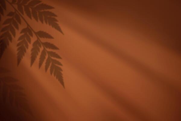 Fern leaf shadows on warm brown background in sunlight