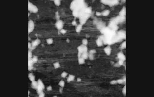 Abstract Black and White Blurred Background with Snow or Dust Effect vector