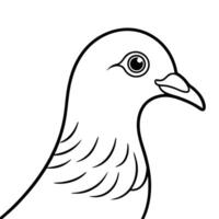 Pigeon Mascot Illustration on White Background vector