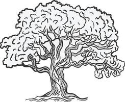 Hand Drawn Oak Tree with Curved Branches and Dense Foliage vector