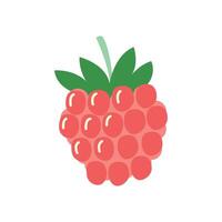Cute hand drawn raspberry illustration on white background vector