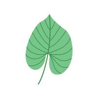 Green tropical leaf in flat style. Perfect for eco design, botanical prints, or summer themes. Isolated on white background for easy use. vector