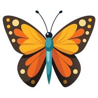 Delicate Butterfly Resting on White vector