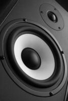 Wood Loud Speakers photo