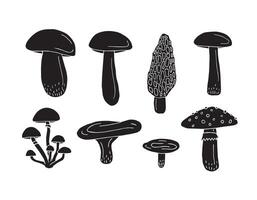 Set of hand drawn doodle sketch mushroom isolated on white background vector