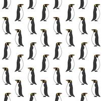 Seamless pattern of hand drawn doodle sketch penguin on white background vector