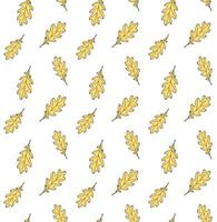 Seamless pattern of hand drawn oak leaf isolated on white background vector