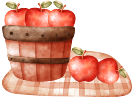 Watercolor Autumn Apples in Bucket Illustration png