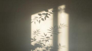 High-contrast, low-key lighting shows soft sunlight casting plant leaf shadows on a white wall. Deep shadows and natural light create a calm, organic, and slightly mystical effect. photo