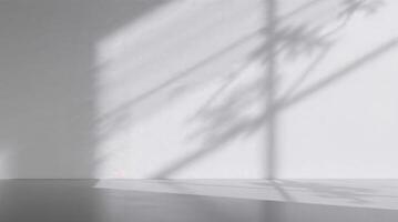 A shadow image in high resolution, contrasted by a minimalist gray gradient background with abstract shadows and blurred lines, evoking a clean, modern aesthetic with smooth texture. photo