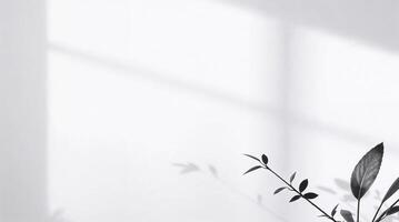 Soft sunlight filters through leaf shadows, evoking tranquility and timeless elegance in simple. photo