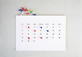 schedule calendar with colorful pins photo