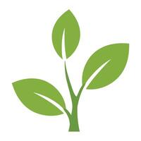 Simple green plant sprout icon isolated on white background vector
