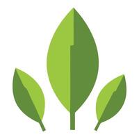 Three green leaves design element isolated on white background vector