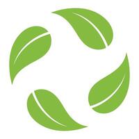 Circular green leaf design isolated on white background vector