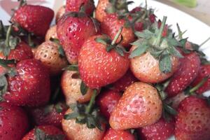 Close-up view of fresh ripe strawberries photo