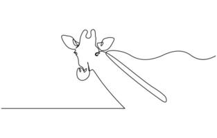 Continuous single line sketch drawing of wild giraffe, Continuous one line drawing of Giraffe. vector