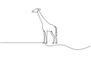 Continuous single line sketch drawing of wild giraffe, Continuous one line drawing of Giraffe vector