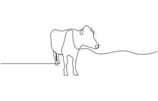Continuous line of cows eating grass. one line drawing of cow farm. single line art illustration design. vector