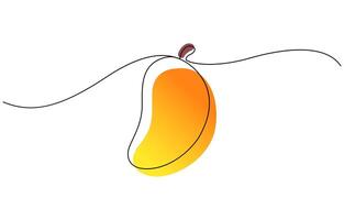 One line drawing art color illustration, continuous one line drawing mango. art color illustration vector