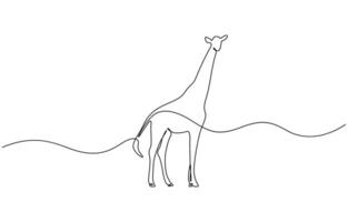 Continuous single line sketch drawing of wild giraffe, Continuous one line drawing of Giraffe with white background vector