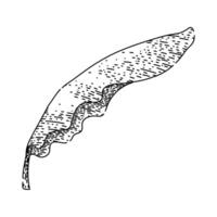 ecofriendly banana leaf sketch hand item vector