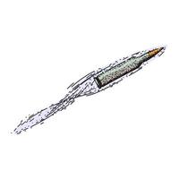 caliber bullet flying sketch hand drawn item vector