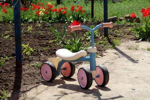 A children's exercise bike stands on the path, behind a field of tulips photo