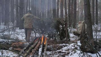 Man building pine shelter near fire in snowy forest, Bushcrafter constructing natural shelter with evergreen branches next to long fire in winter woods video