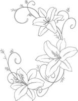 digital resource lily flower botanical illustration vector