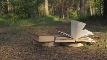 Books on forest ground with open pages in peaceful natural clearing, Literature resting on pine needles and grass in quiet wooded landscape under sunlight video
