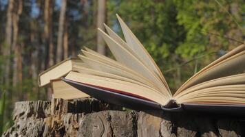 Open book with fluttering pages on tree stump in forest sunlight, Reading in nature with books resting on a stump surrounded by green forest trees video