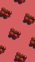 padronizar com muitos tomates animado em vermelho fundo. tomates mover dentro diferente instruções. vertical cenas video