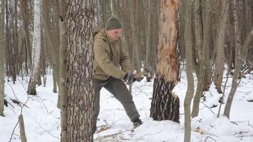 Winter Bushcraft - Felling a Tree in the Forest, A man in a green beanie and khaki jacket chopping down a tree in a snowy woodland video