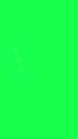 4K 3D animation of a bubble chat icon on a green screen background, perfect for communication, messaging, digital content, media design, or online interaction themes. video
