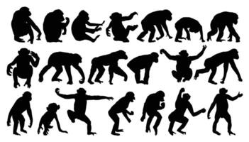 Set silhouettes of monkeys. vector