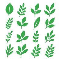 Clean and Minimal Leaf Outline Illustrations For Creative Projects vector