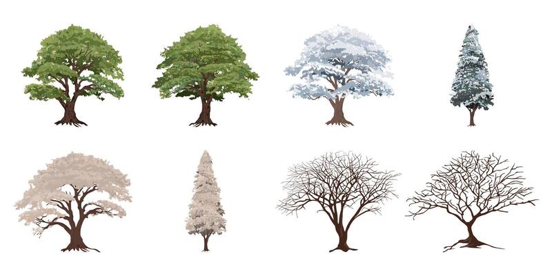 Various tree colletclion in all season isolated graphic illustration.