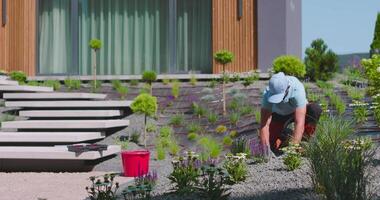 A man is working on a garden with plants and flowers video