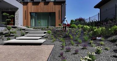 A modern house with a garden and steps video
