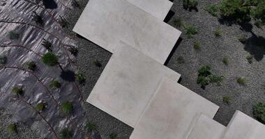 A concrete wall with a tree in the background video