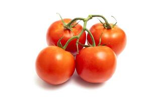 Four red fresh tomatoes on a branch isolated on white background photo