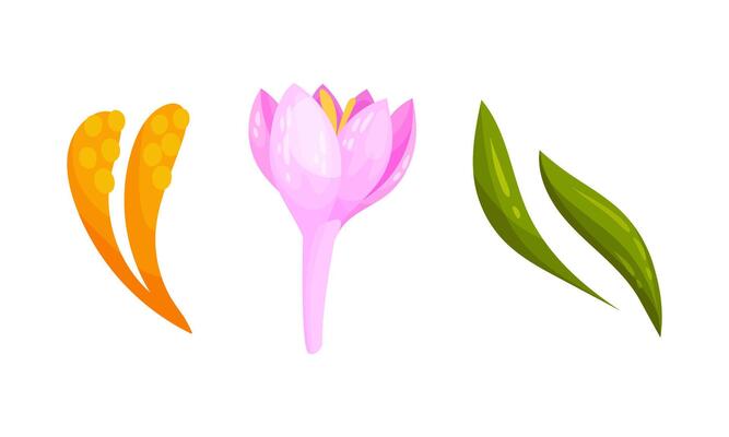 Beautiful first fresh spring flowers cartoon illustration