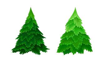 Evergreen coniferous trees set cartoon illustration on white background vector
