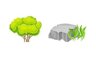 Green deciduous tree and stone with grass set. Summer landscape design elements cartoon illustration vector