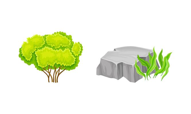 Green deciduous tree and stone with grass set. Summer landscape design elements cartoon illustration