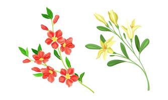 Spring blooming tree branches with yellow and red flowers set illustration vector